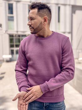 Violetinis vyriškas storas džemperis be gobtuvo Bolf 2001A